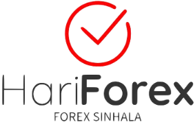 Hari Forex